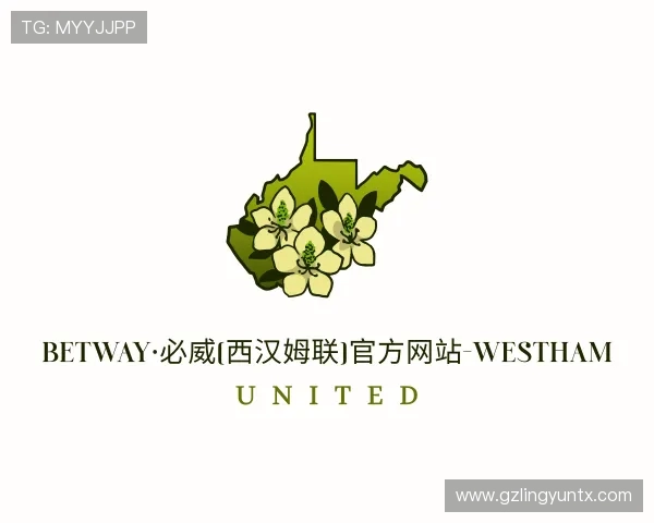 了解bw必威西汉姆联官网